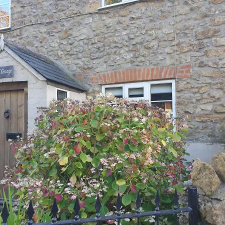 Laurel Cottage Melplash Netherbury Exterior photo